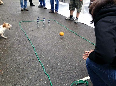 "Hod valivou koulí" do aktiváku byl těžší, než by kdo pomyslel