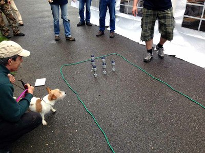 Tomáš Fuk se svým Fíkem sleduje "hod valivou koulí" 2