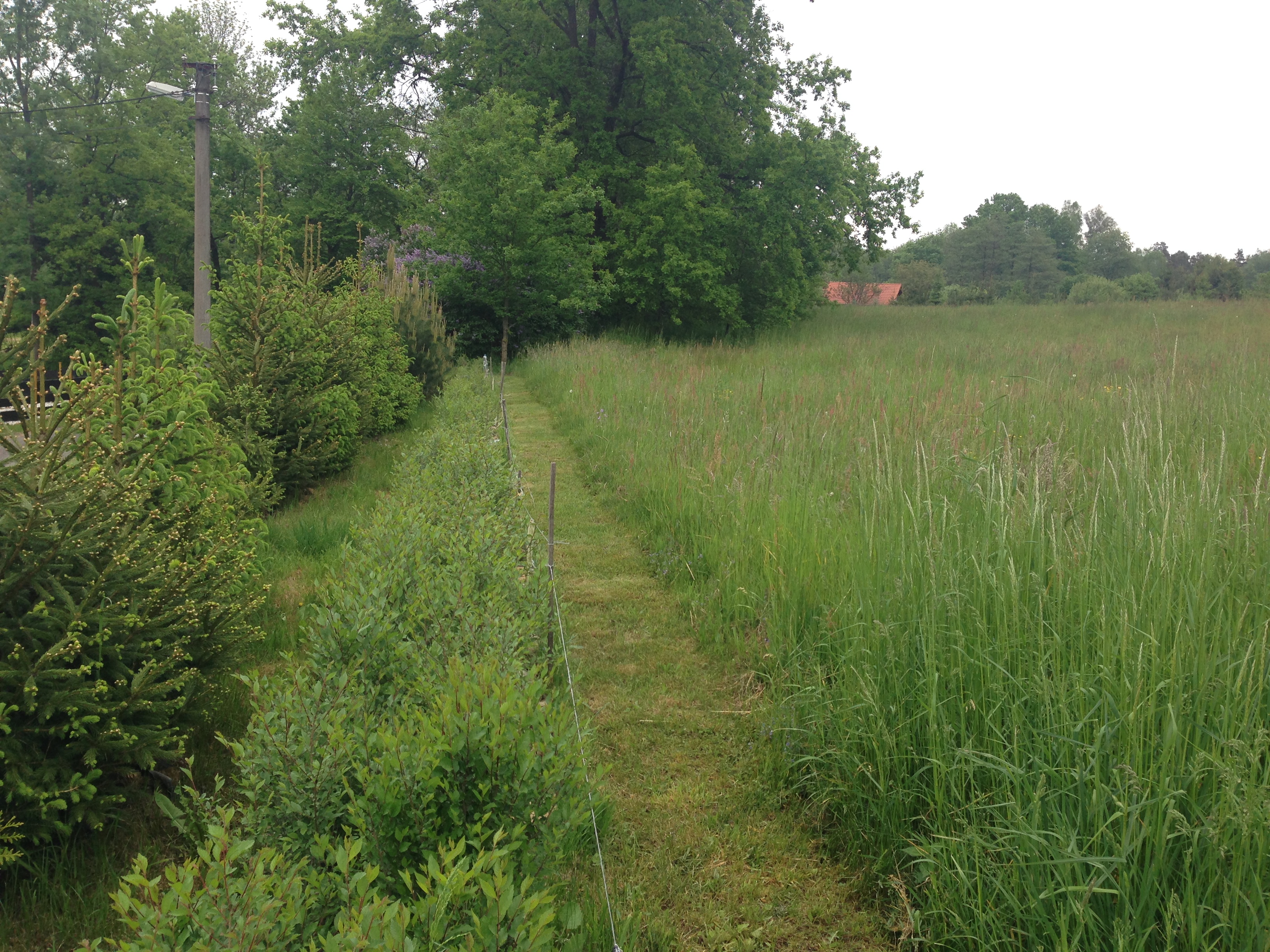 2015-05-23 09.44.32.jpg