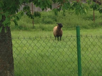 2015-05-23 09.45.29.jpg