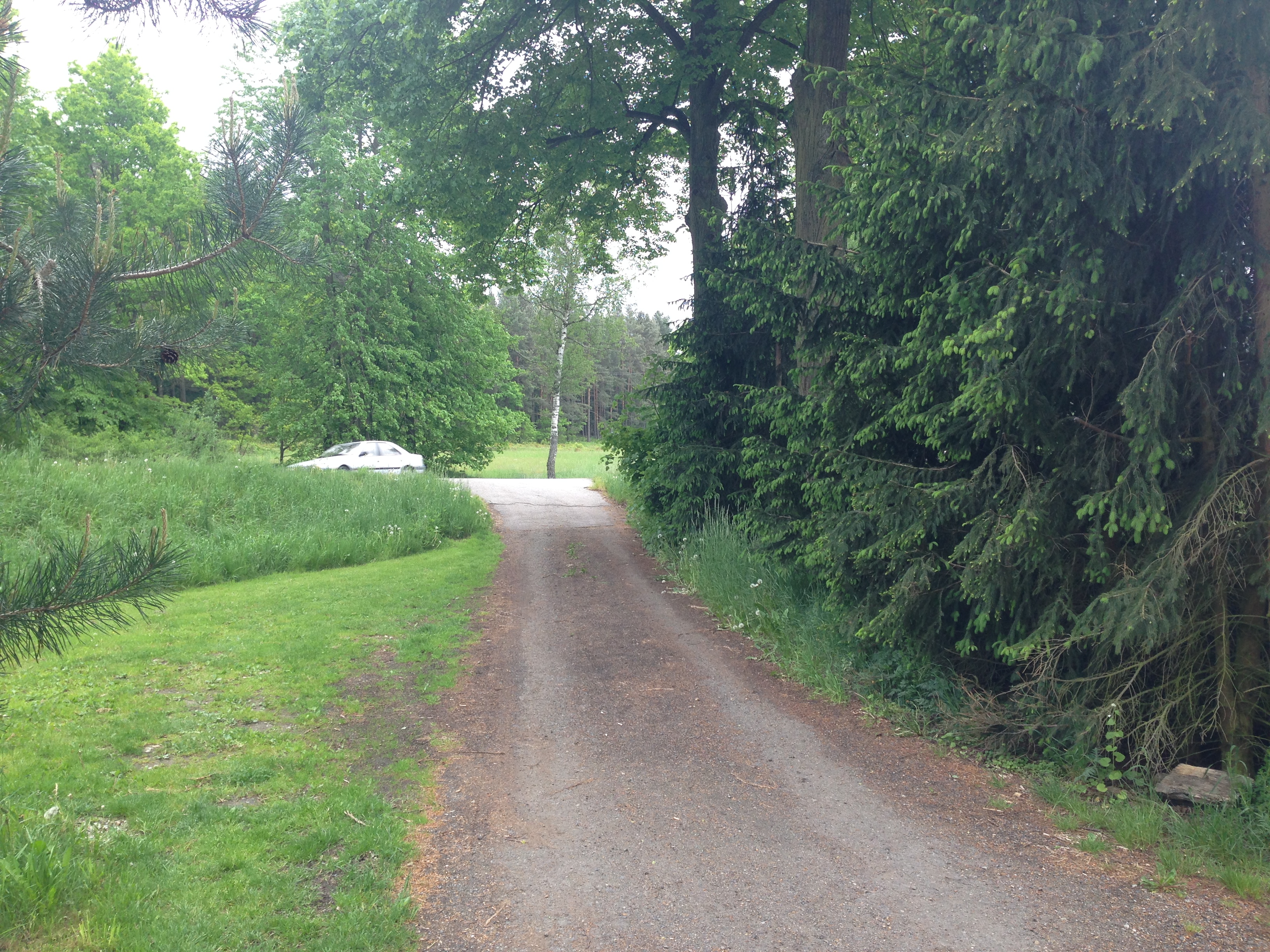 2015-05-23 09.47.38.jpg