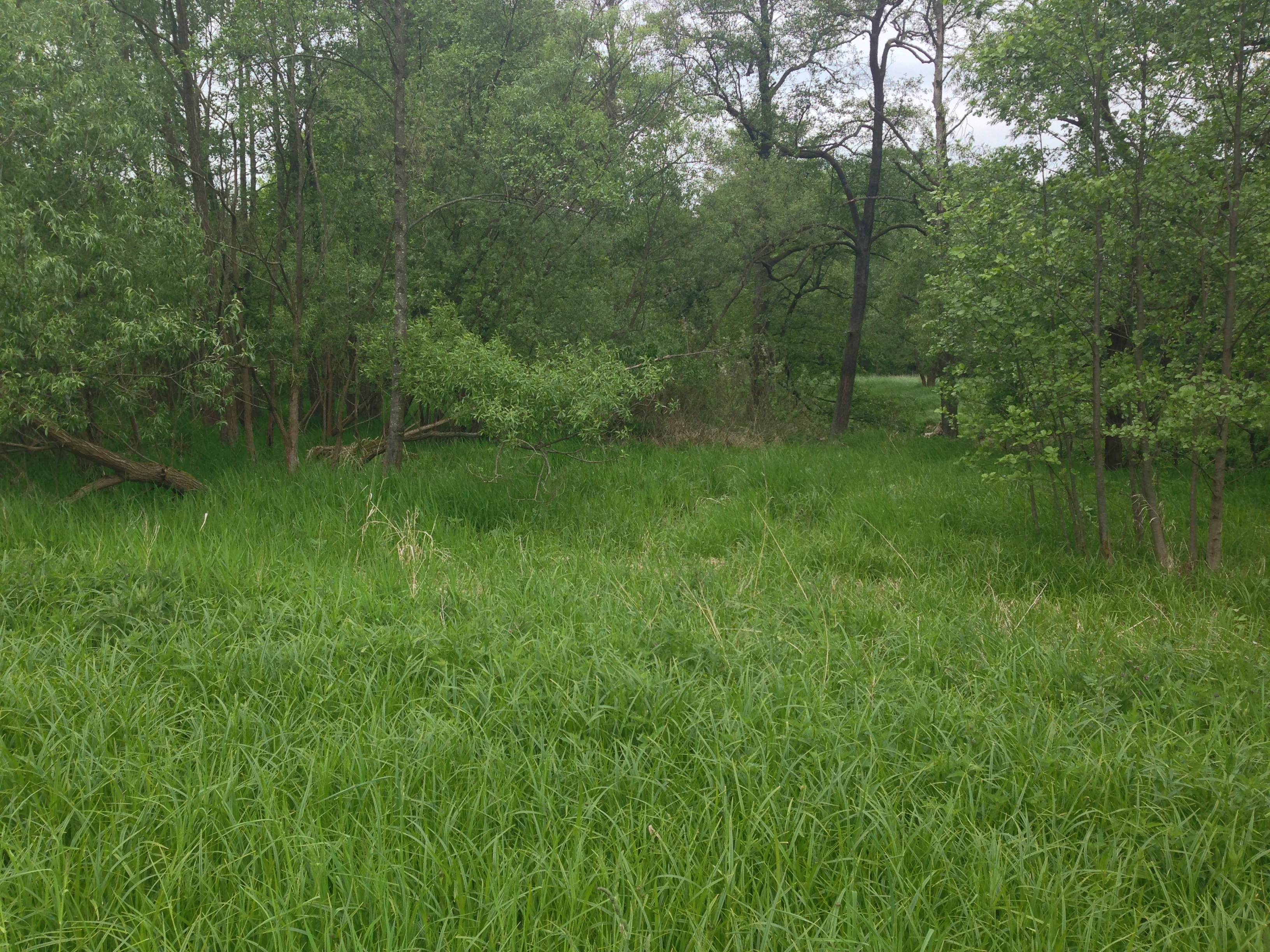 2015-05-23 10.06.56.jpg