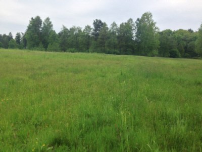 2015-05-23 10.06.58.jpg