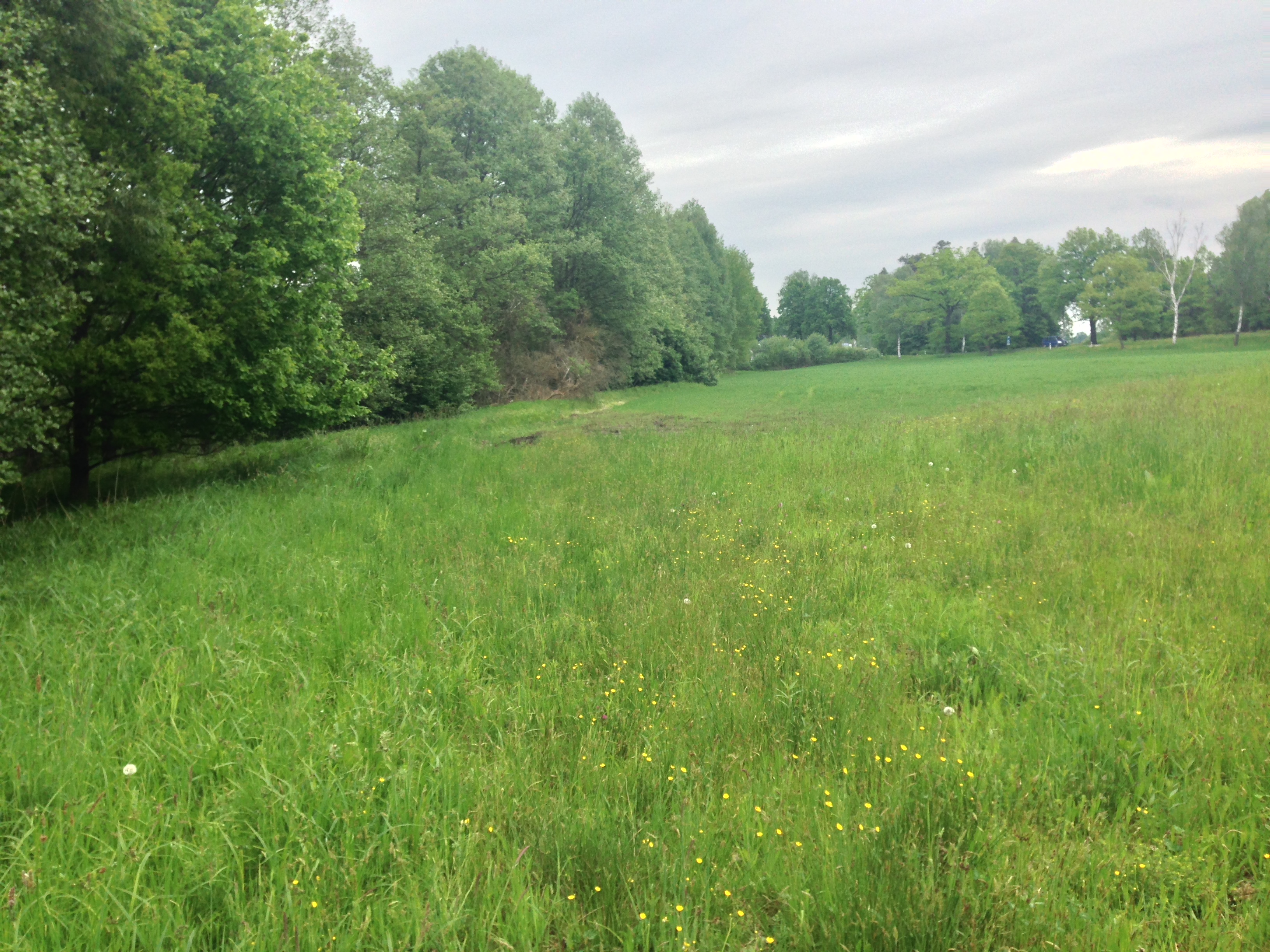 2015-05-23 10.07.02.jpg