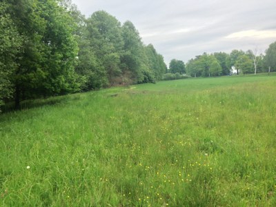 2015-05-23 10.07.02.jpg