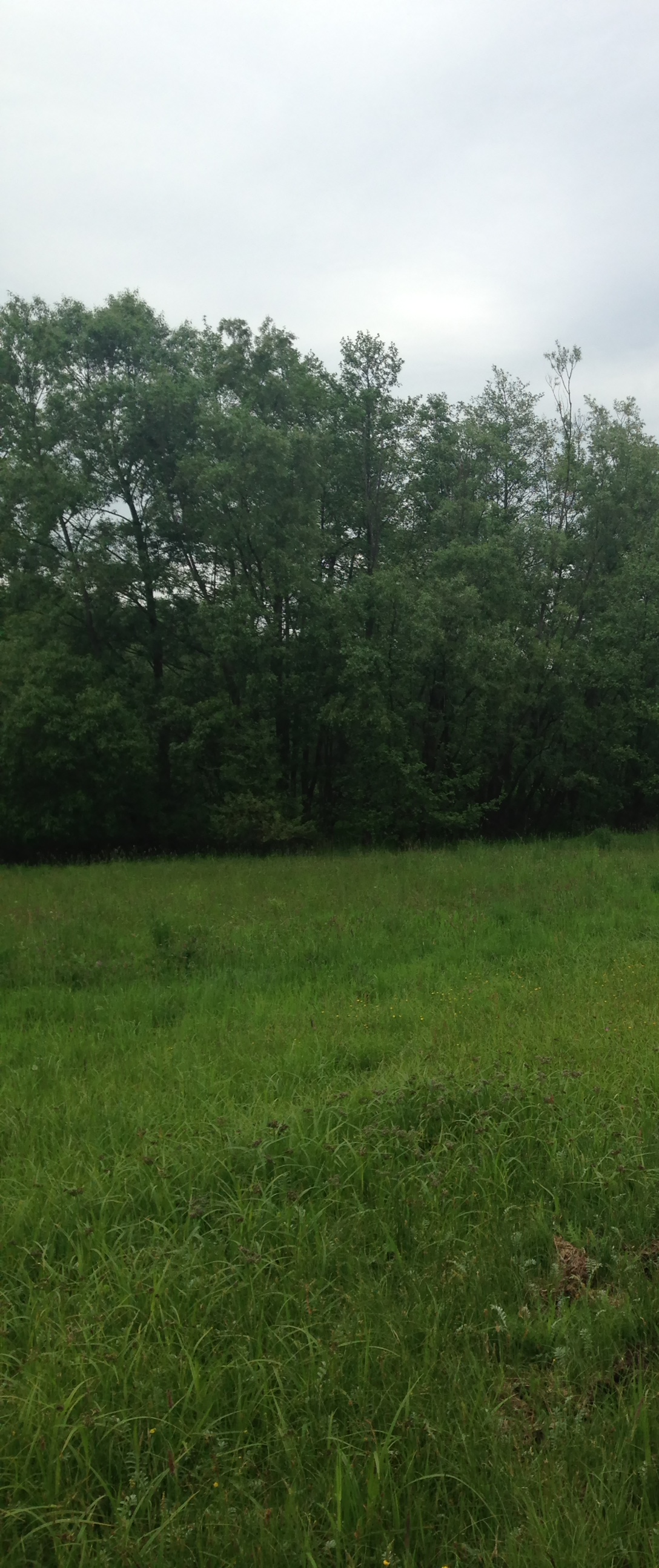 2015-05-23 10.10.44.jpg