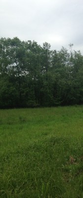 2015-05-23 10.10.44.jpg