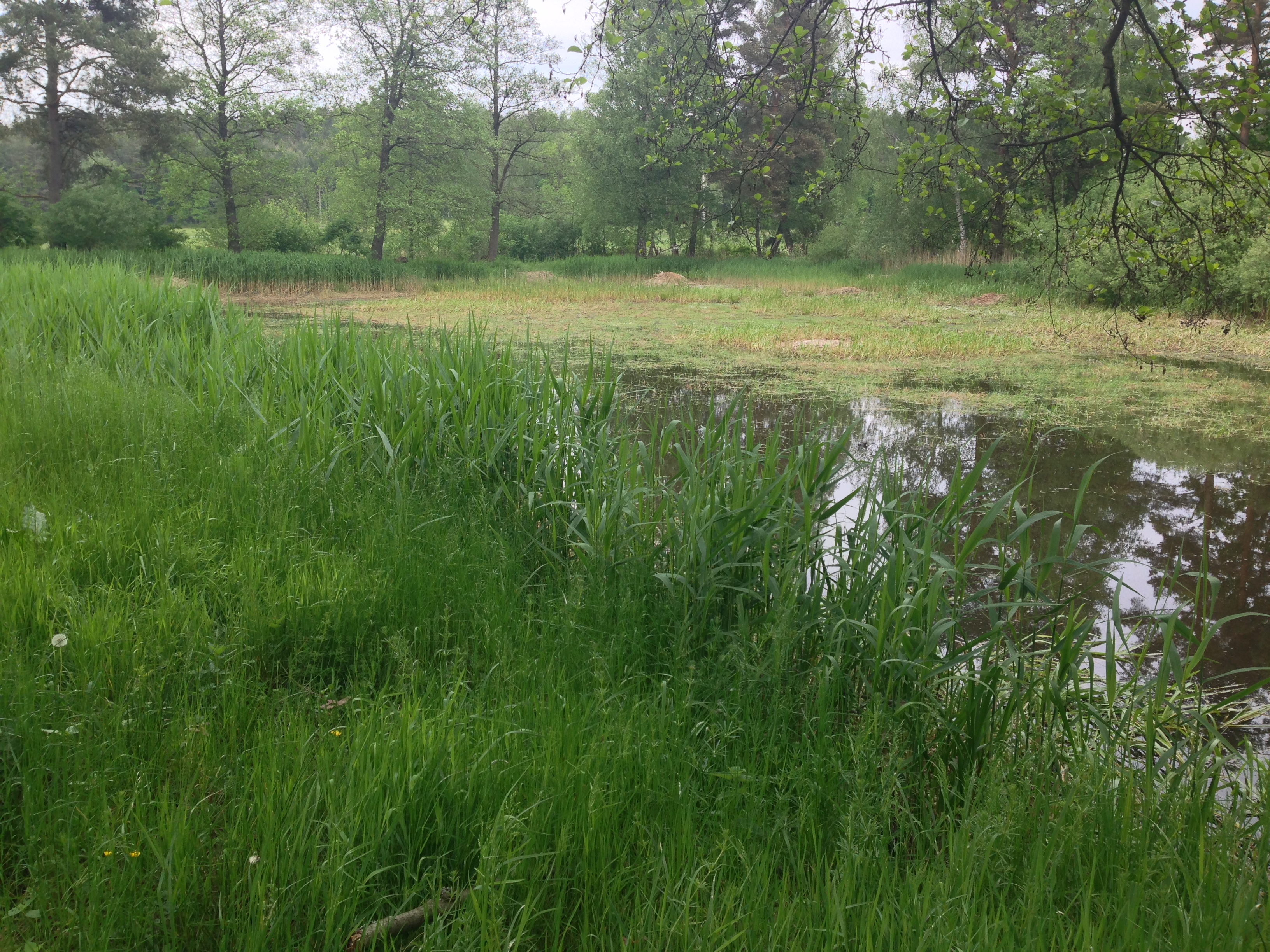 2015-05-23 10.17.17.jpg