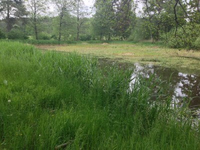 2015-05-23 10.17.17.jpg