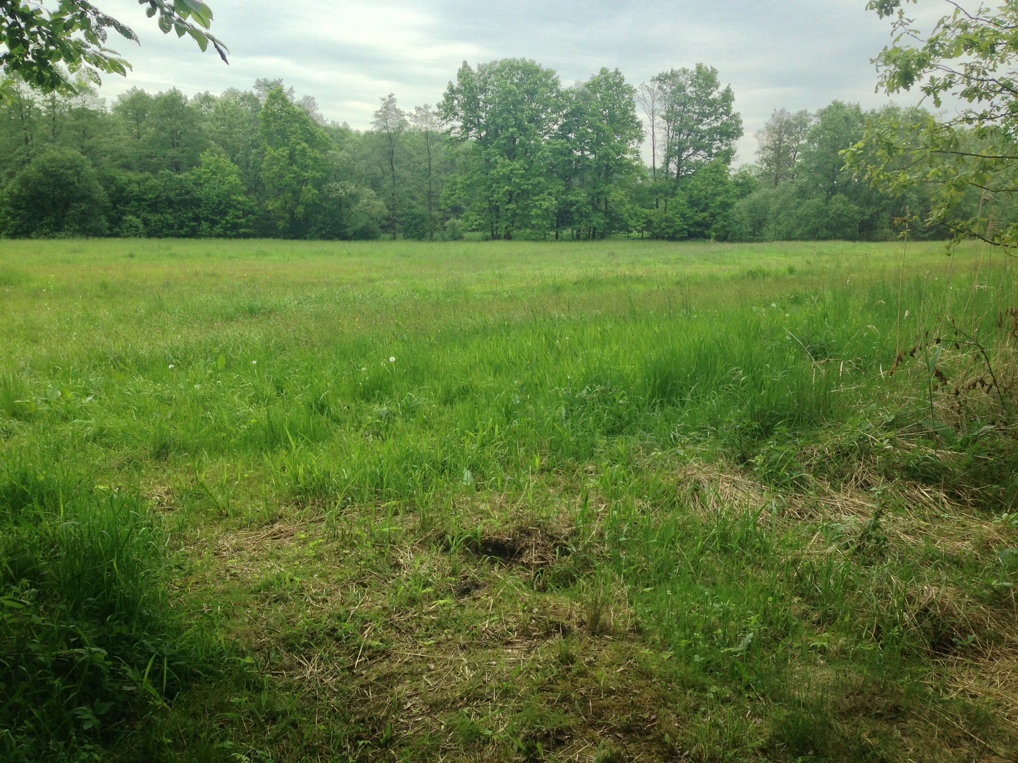 2015-05-23 10.17.54.jpg