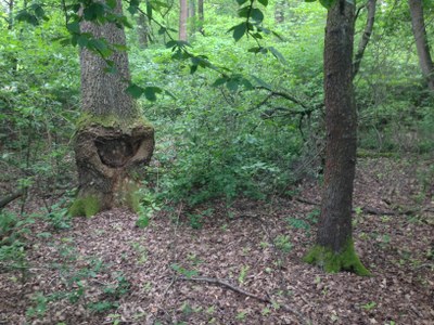 2015-05-23 10.21.33.jpg