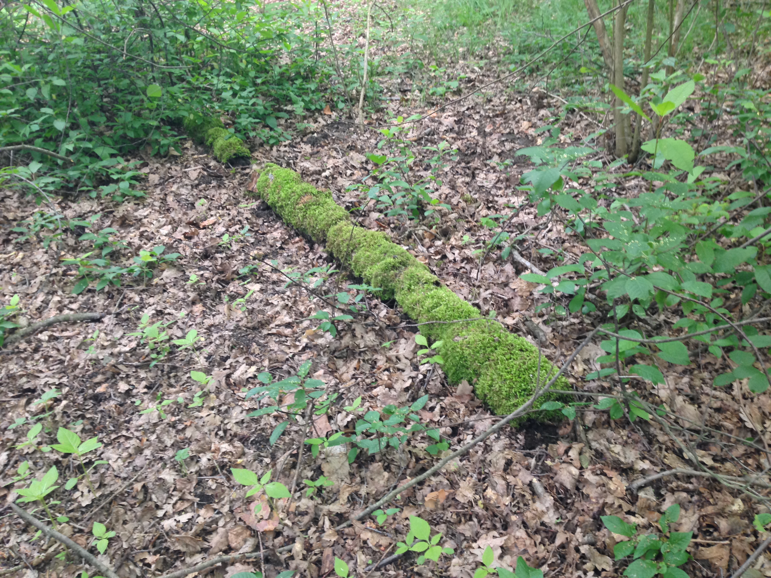 2015-05-23 10.22.23.jpg