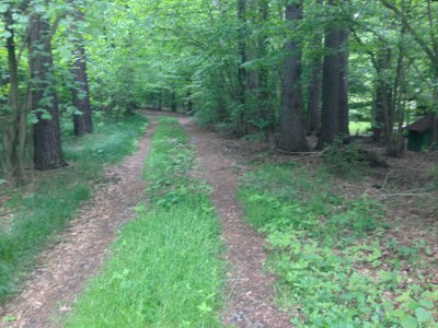 2015-05-23 10.23.39.jpg