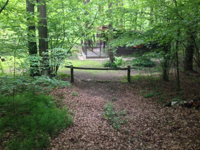 2015-05-23 10.25.24.jpg