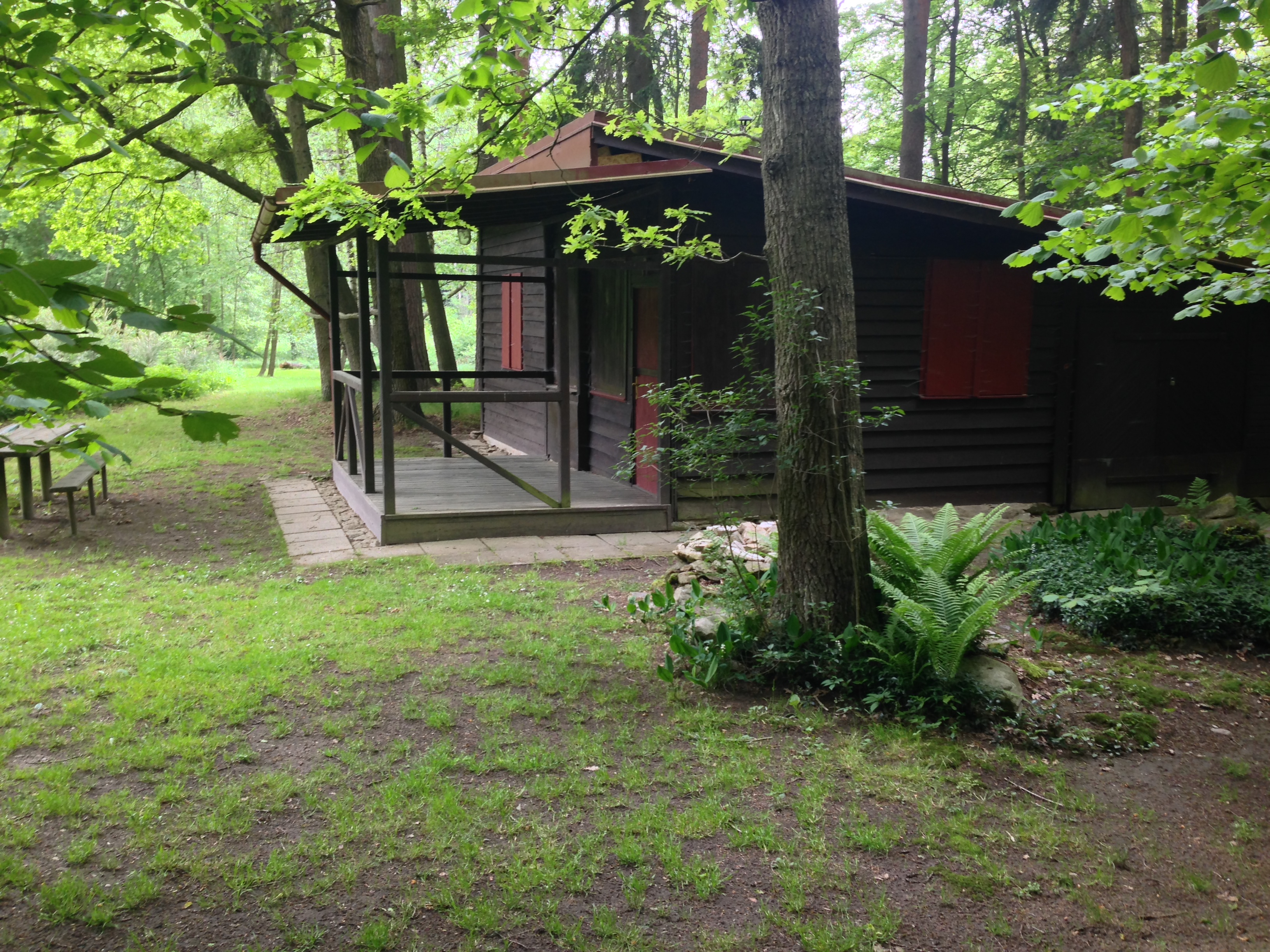 2015-05-23 10.25.50.jpg