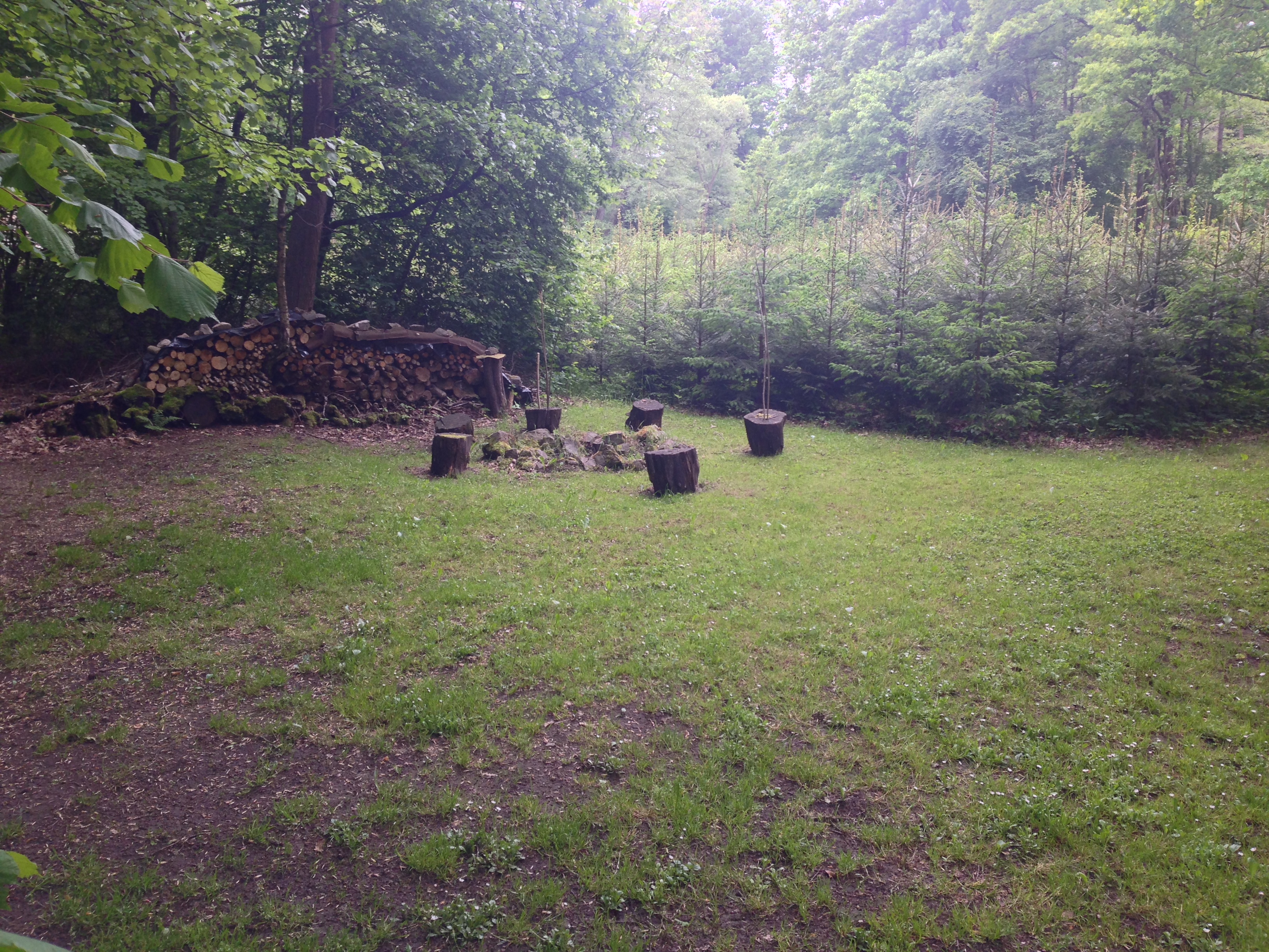 2015-05-23 10.26.09.jpg