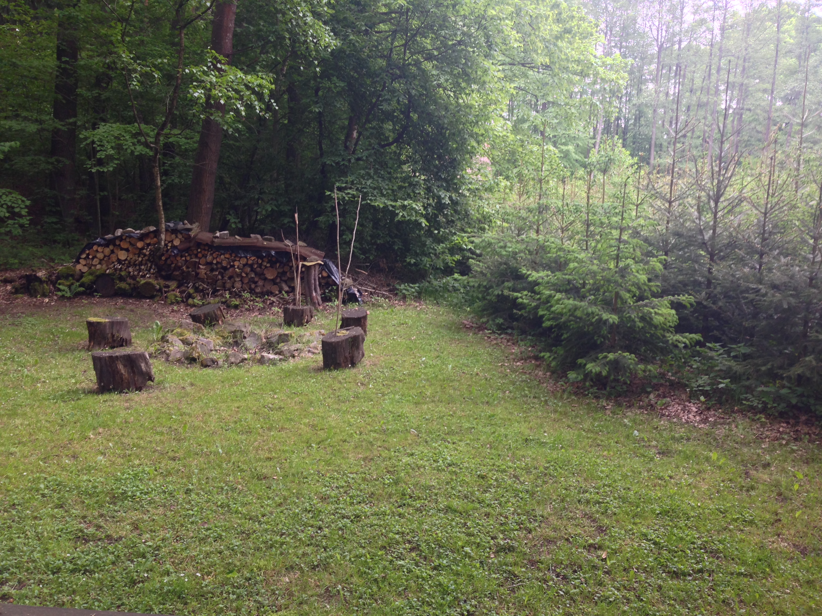 2015-05-23 10.26.31.jpg