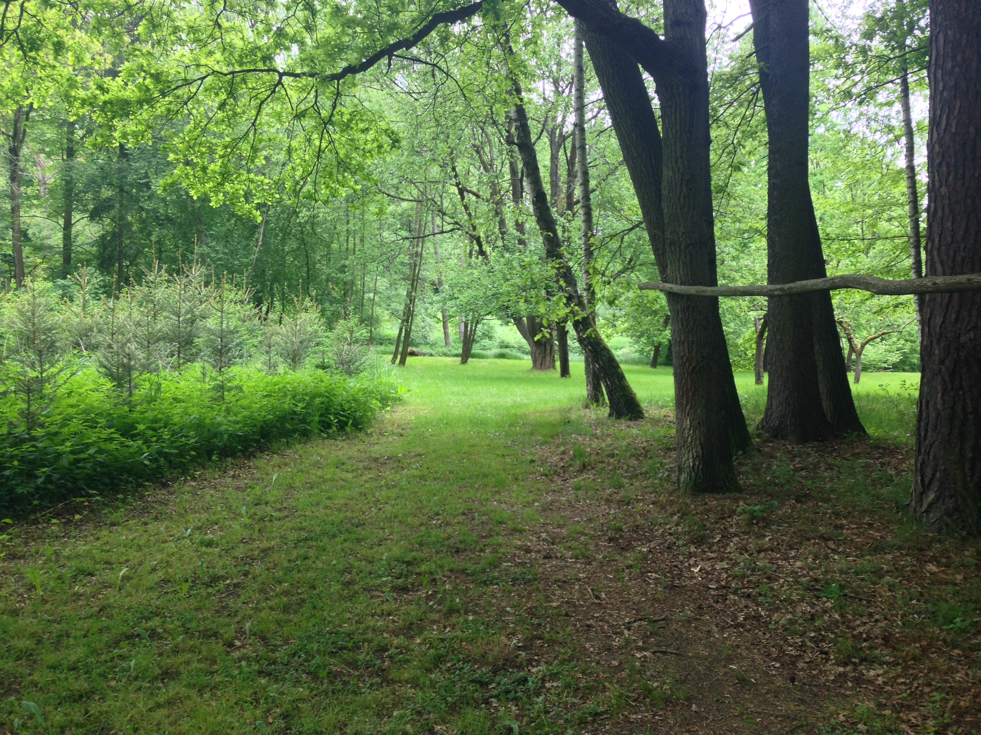 2015-05-23 10.26.40.jpg