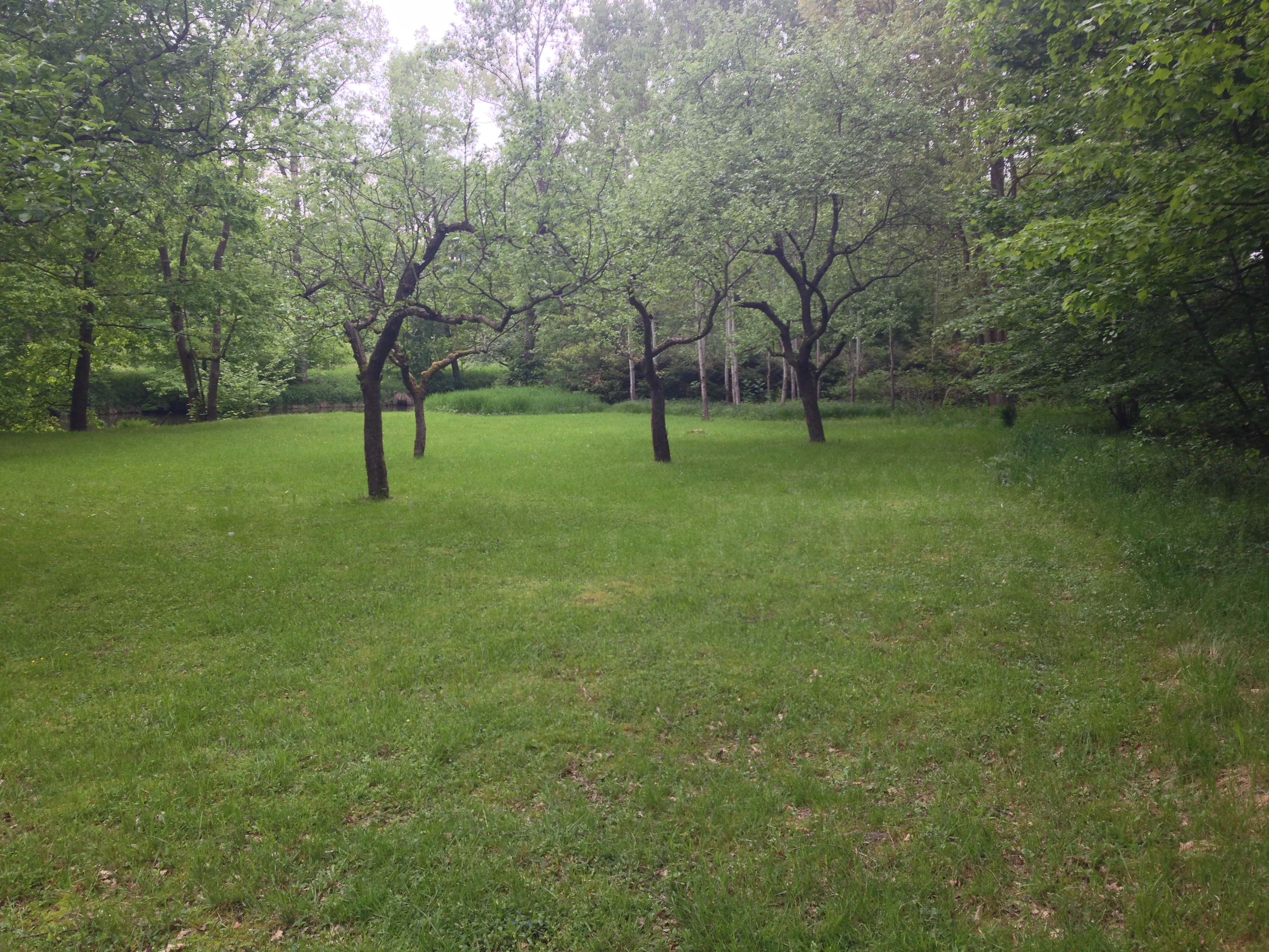 2015-05-23 10.27.06.jpg