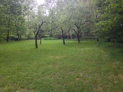 2015-05-23 10.27.06.jpg