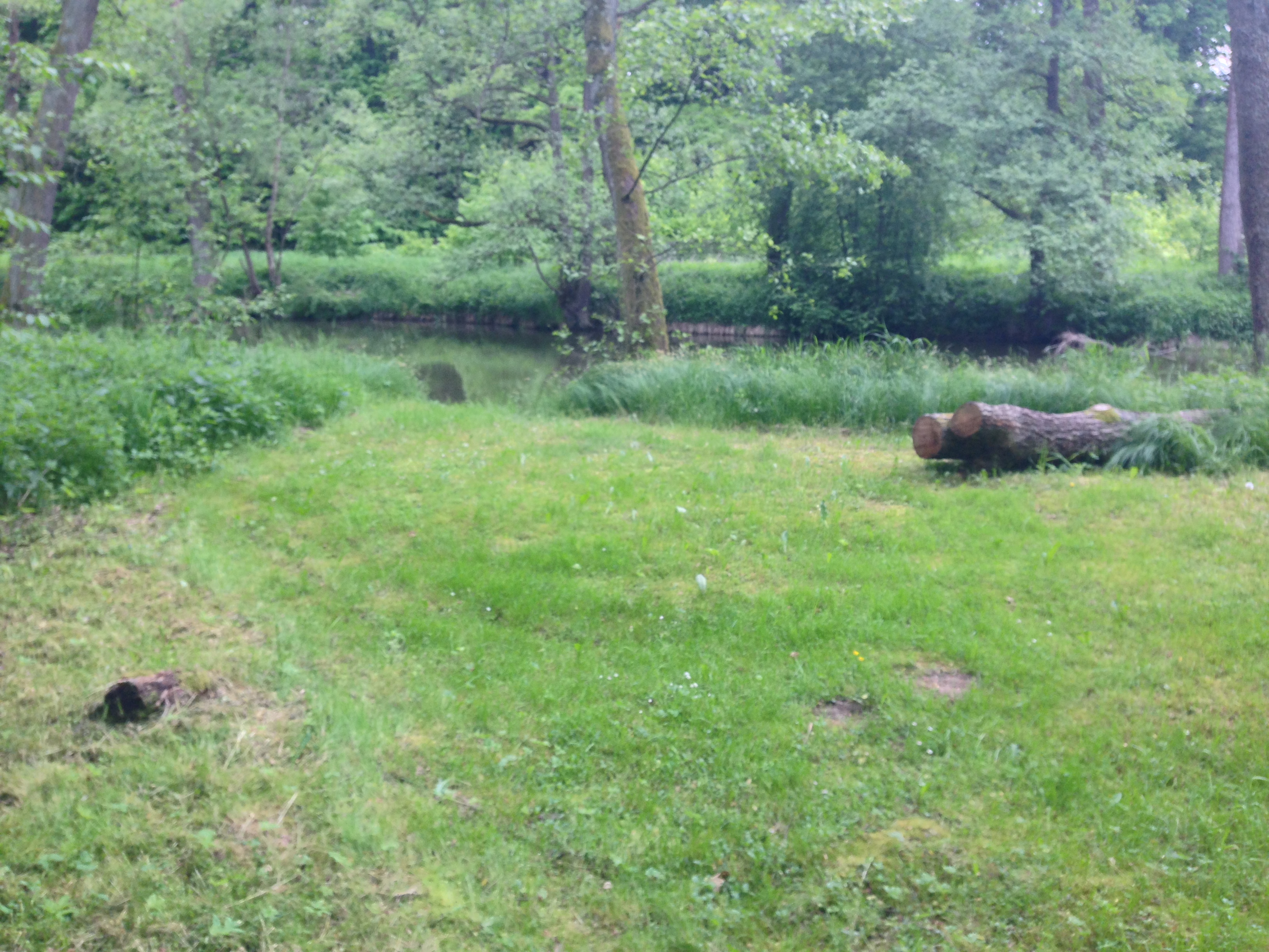 2015-05-23 10.27.45.jpg