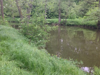 2015-05-23 10.28.04.jpg