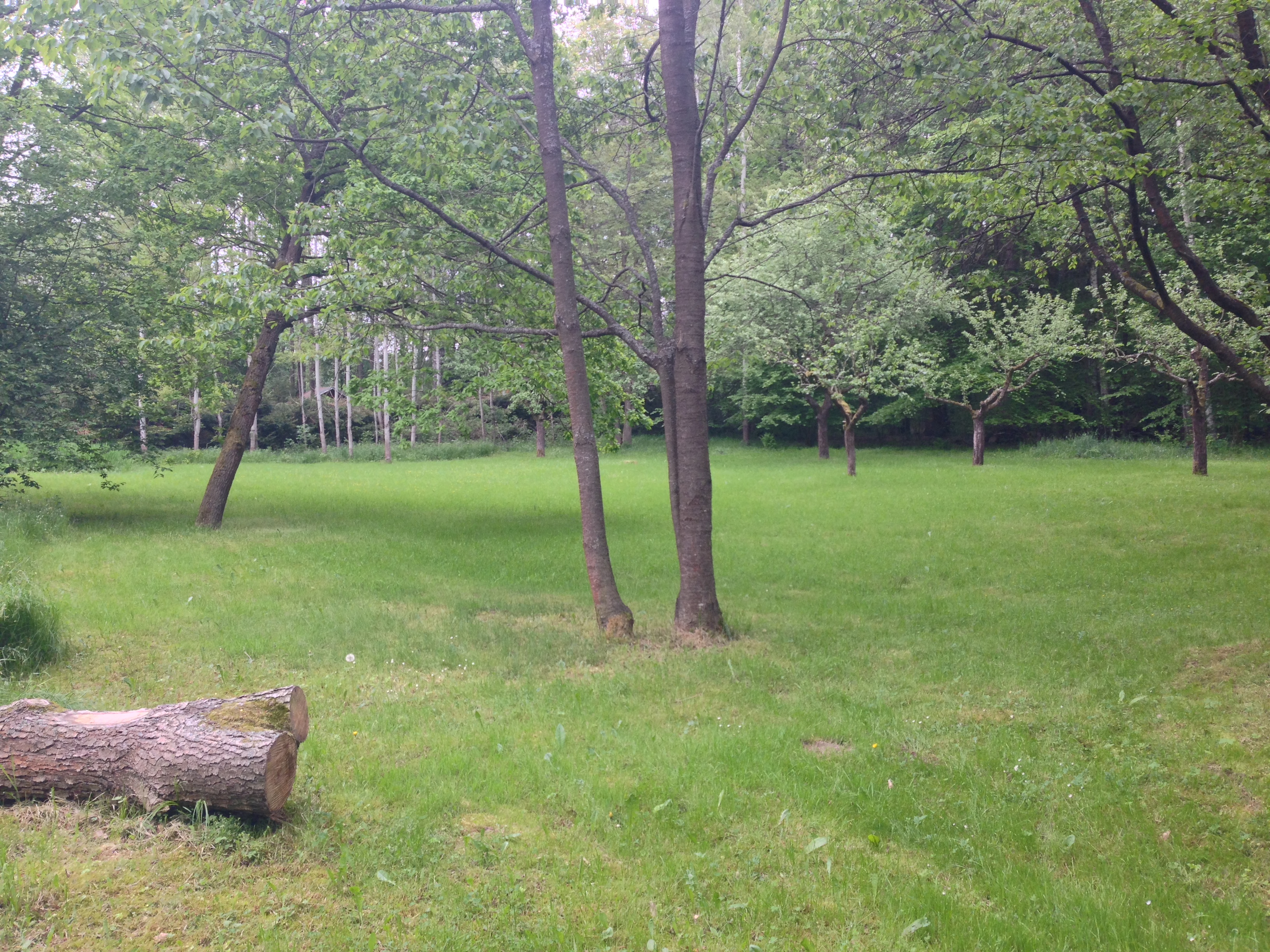 2015-05-23 10.28.11.jpg