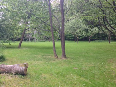 2015-05-23 10.28.11.jpg