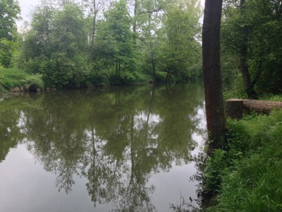 2015-05-23 10.28.27.jpg