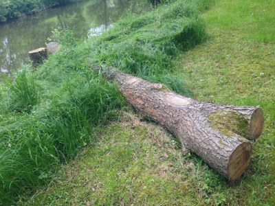 2015-05-23 10.29.55.jpg