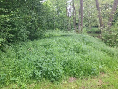 2015-05-23 10.30.06.jpg