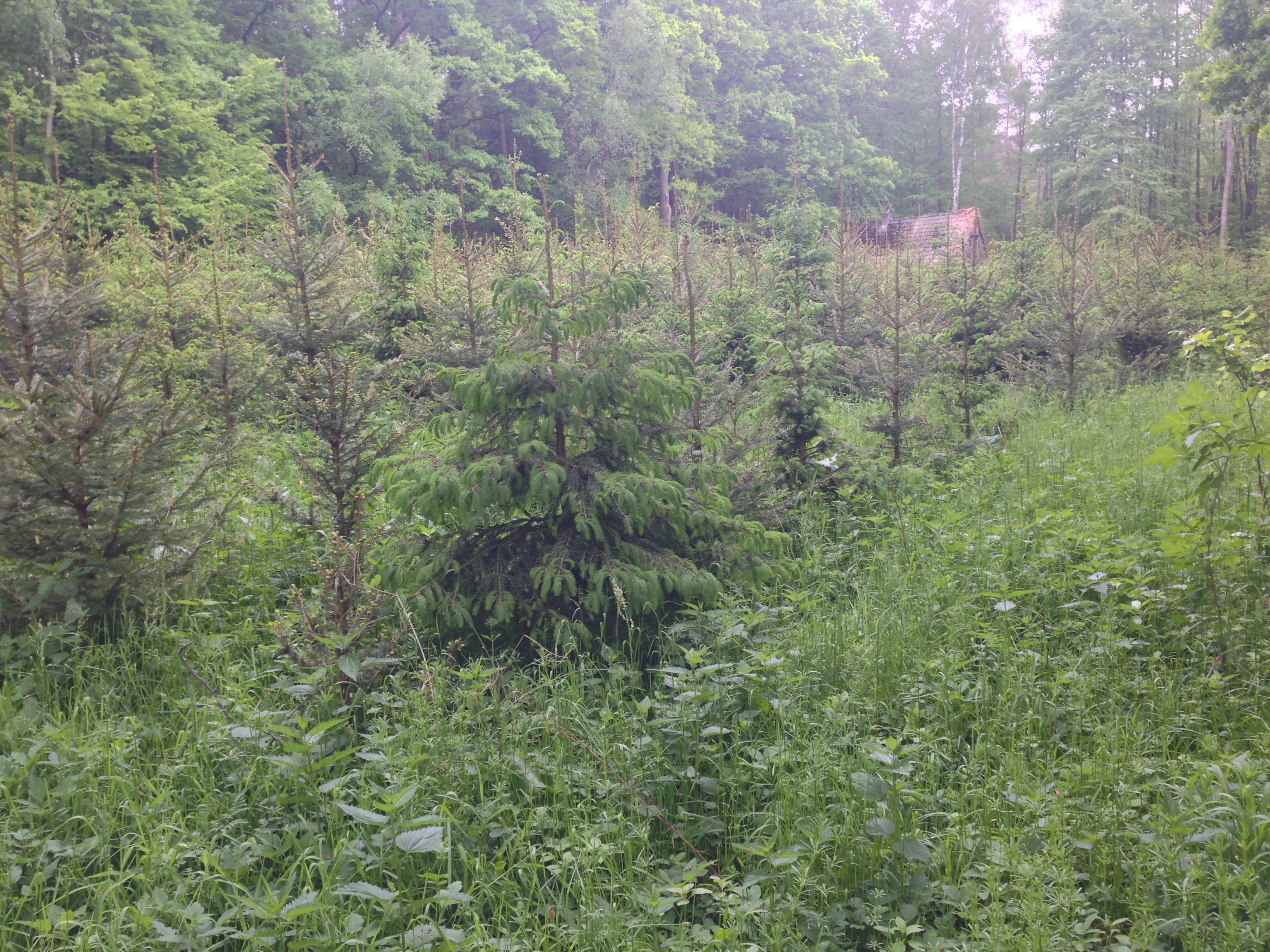 2015-05-23 10.30.43.jpg