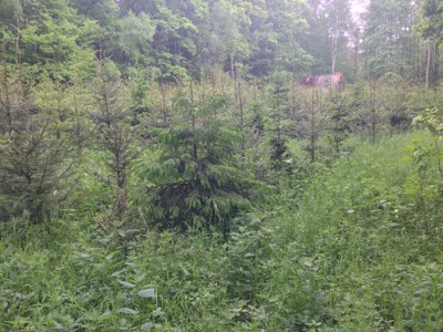 2015-05-23 10.30.43.jpg