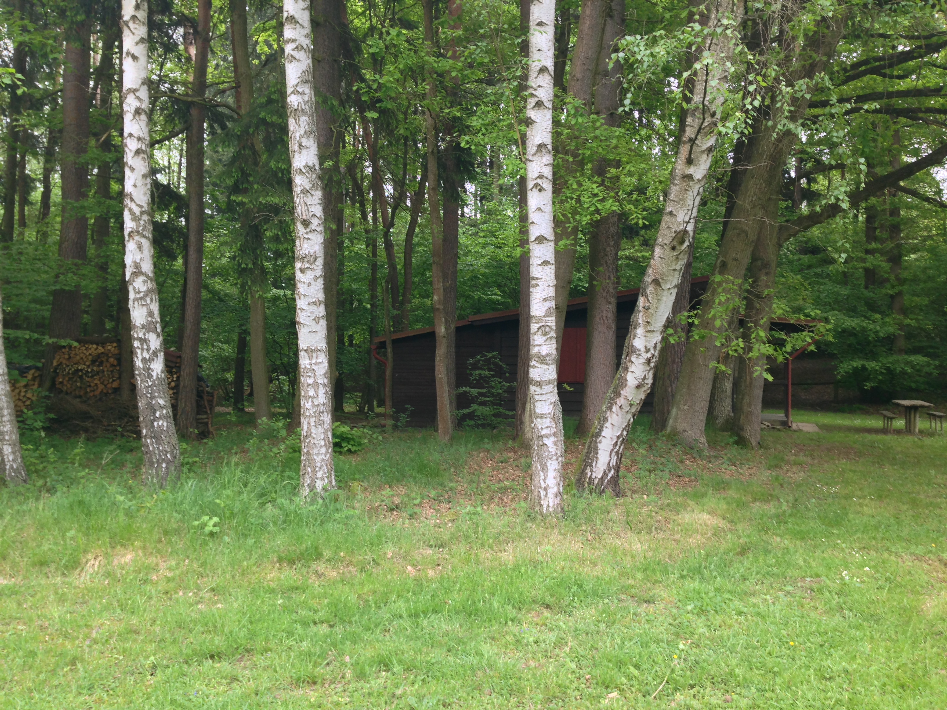 2015-05-23 10.31.19.jpg