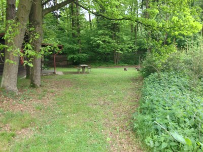 2015-05-23 10.31.34.jpg