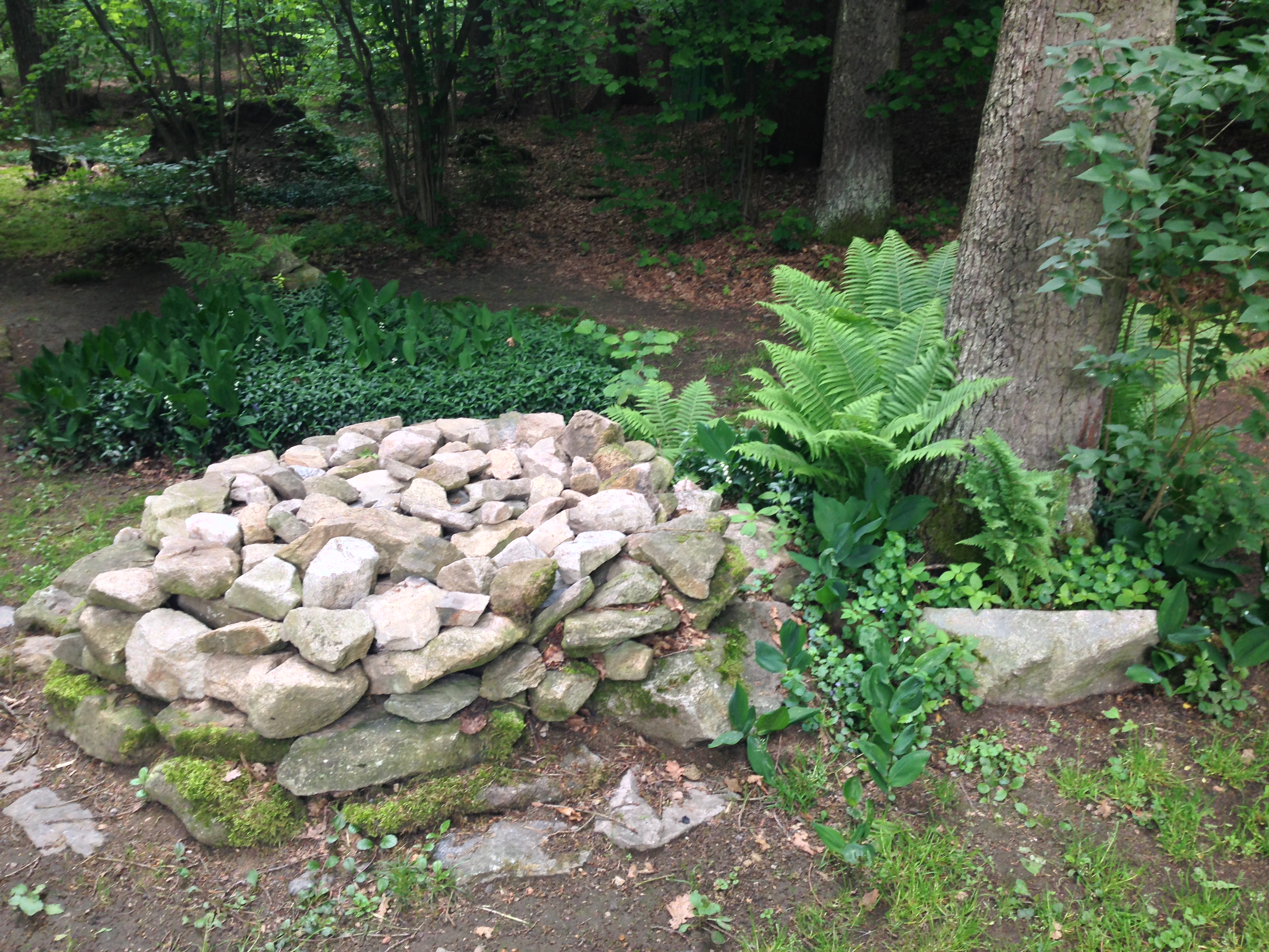 2015-05-23 10.32.25.jpg