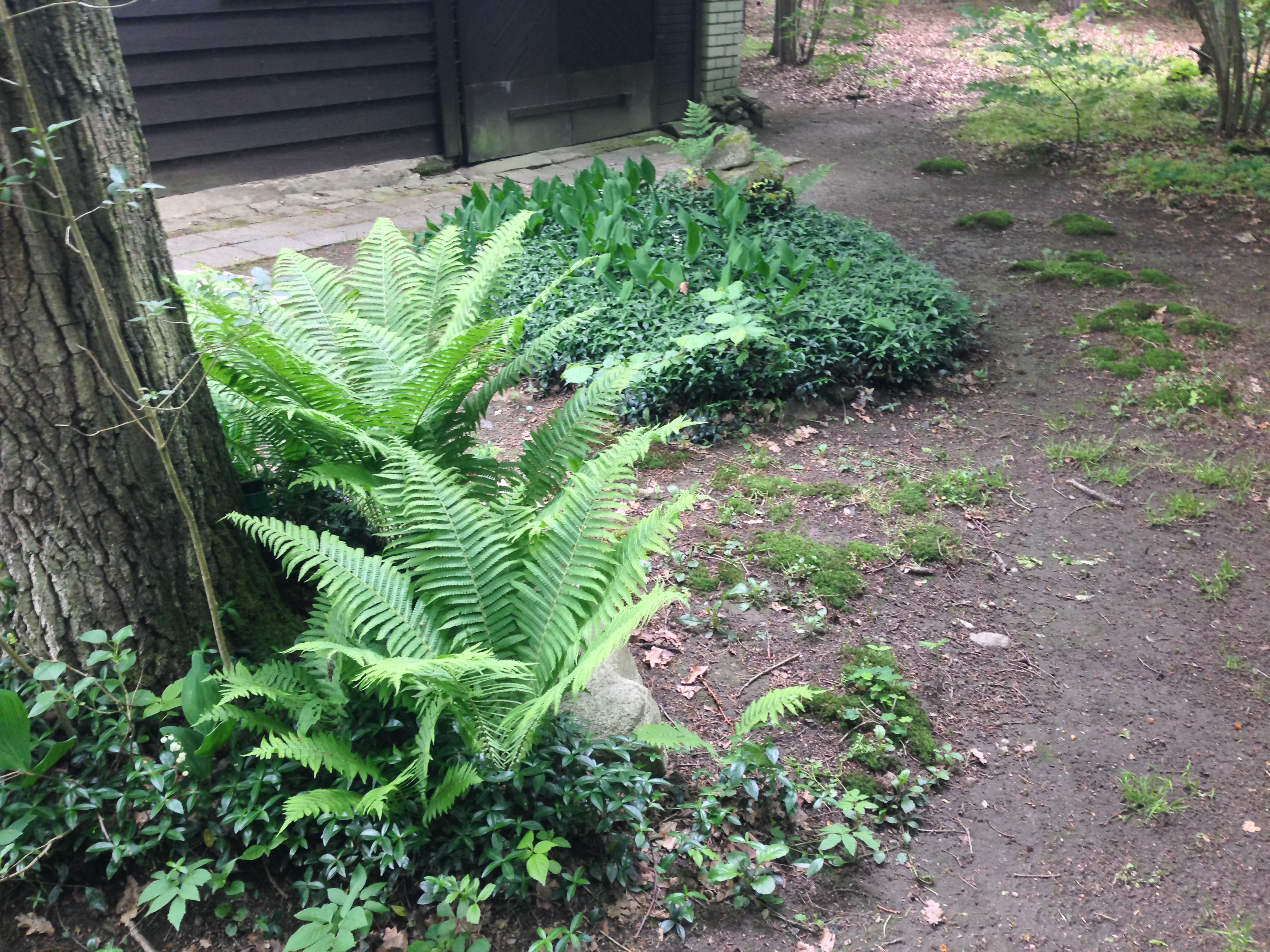 2015-05-23 10.32.46.jpg