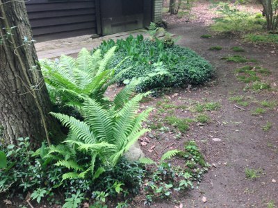 2015-05-23 10.32.46.jpg