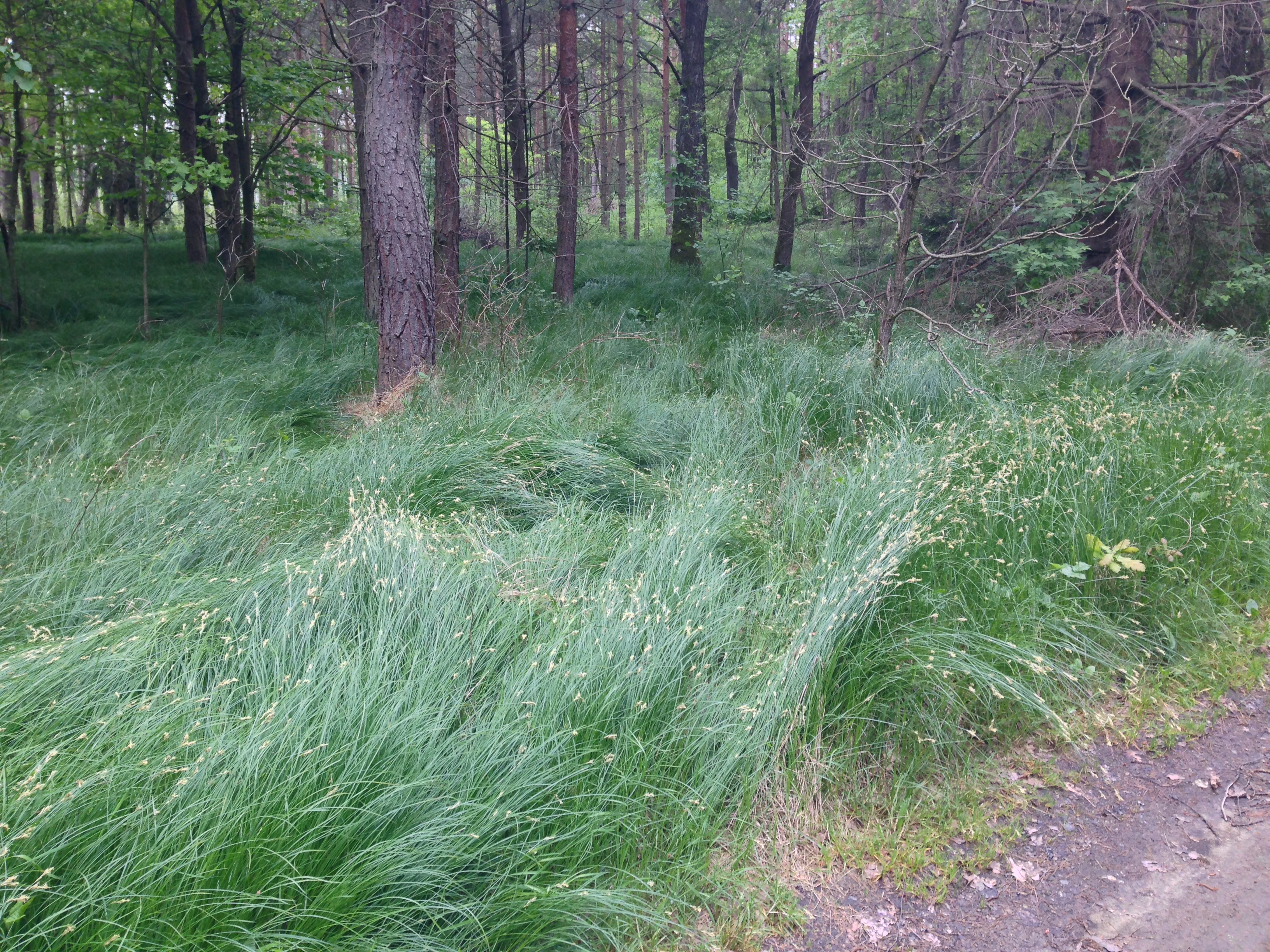 2015-05-23 10.37.17.jpg