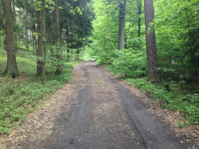 2015-05-23 10.39.15.jpg