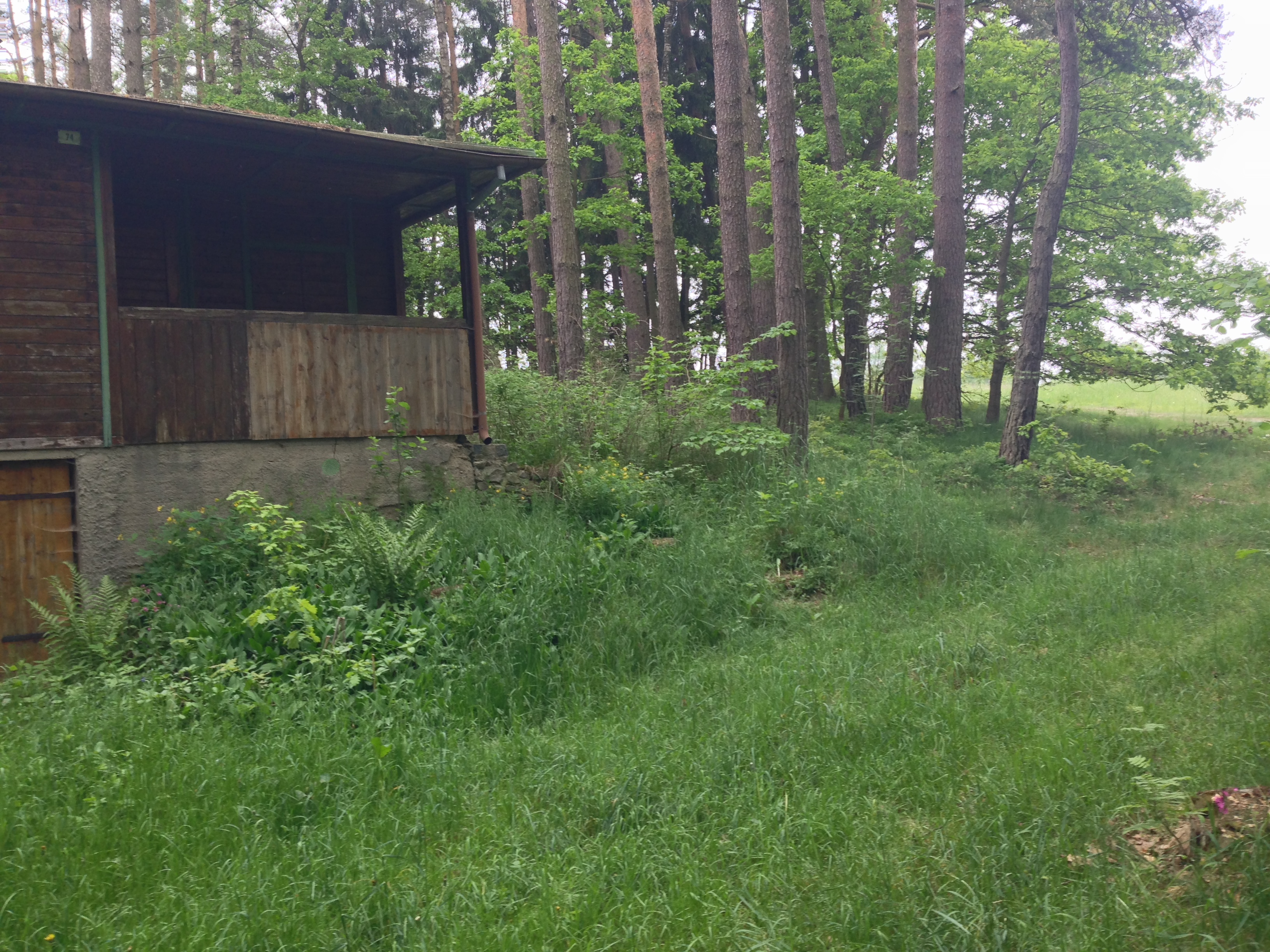 2015-05-23 10.41.47.jpg