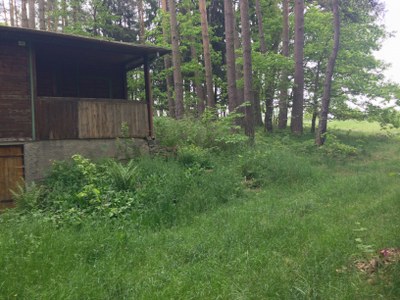 2015-05-23 10.41.47.jpg