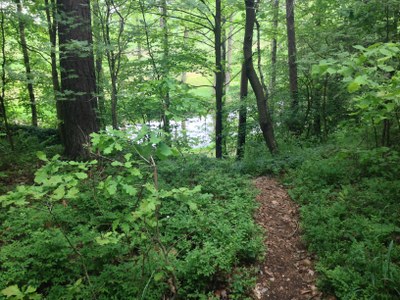 2015-05-23 10.42.10.jpg