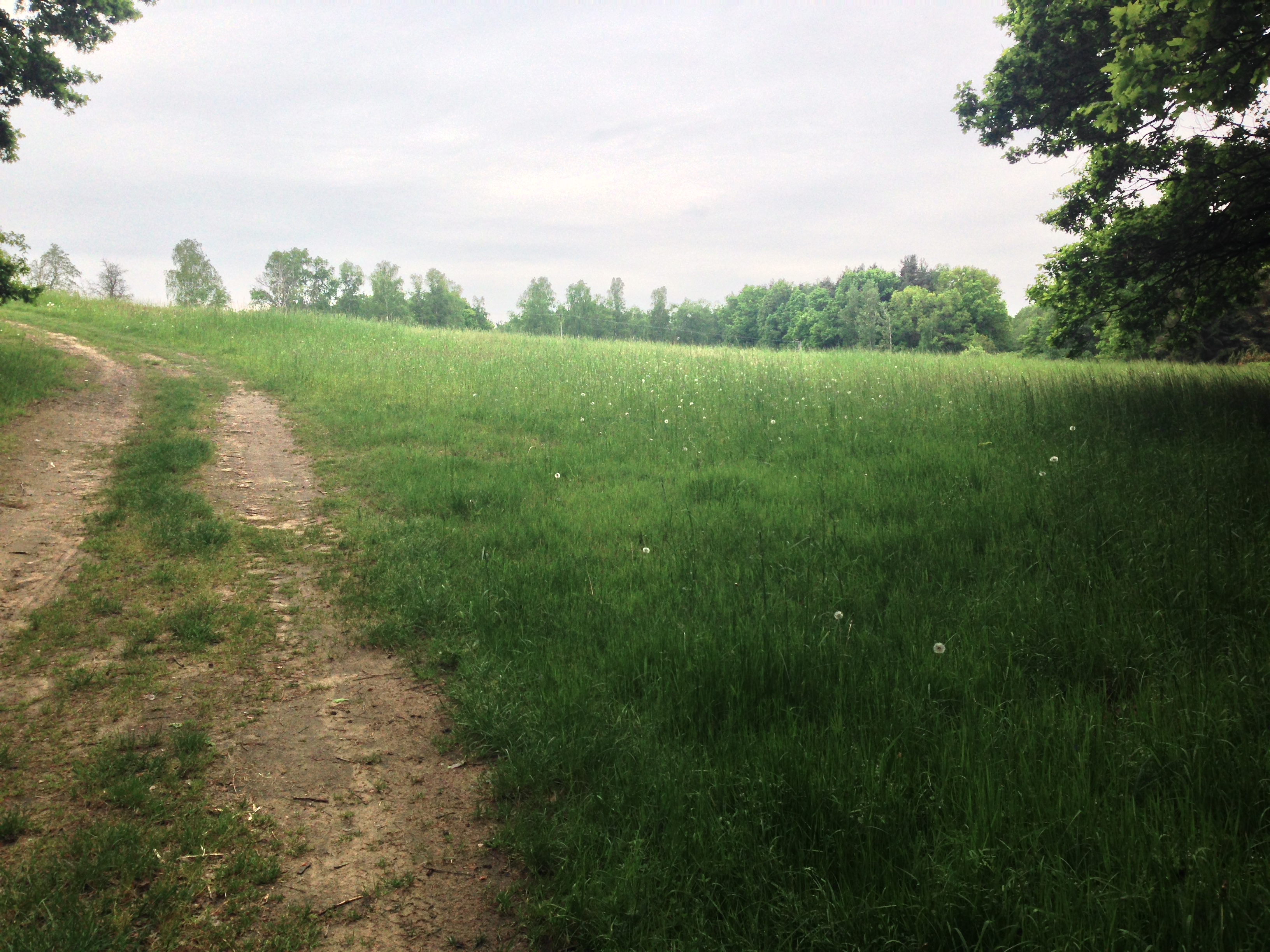 2015-05-23 10.42.38.jpg