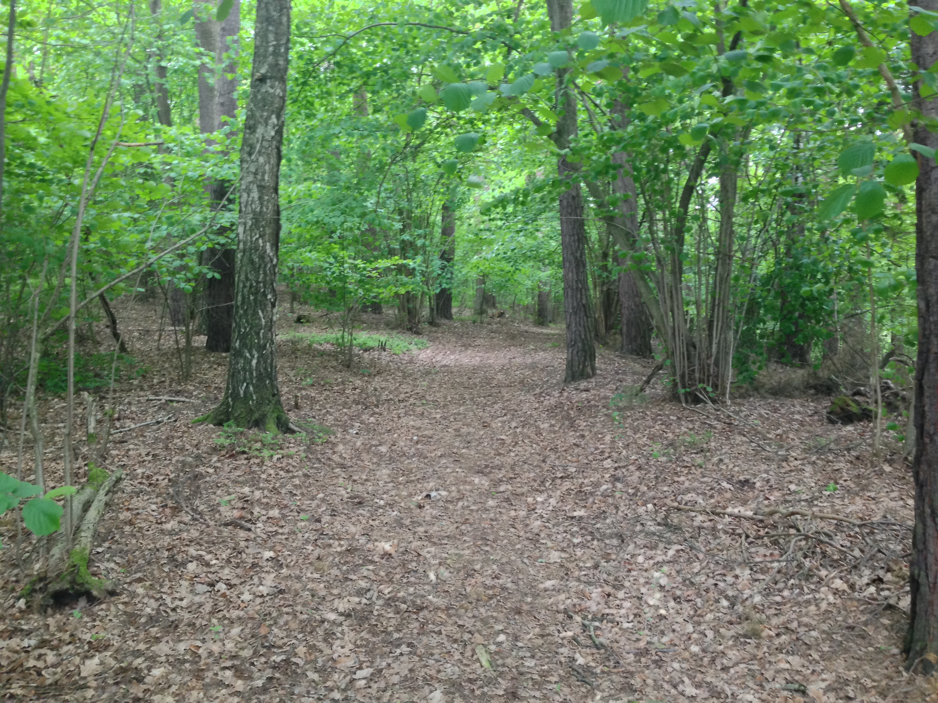 2015-05-23 10.55.02.jpg