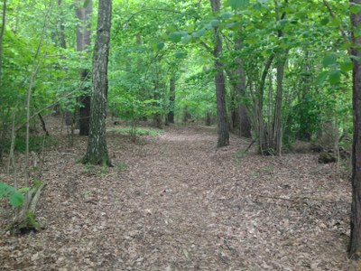 2015-05-23 10.55.02.jpg