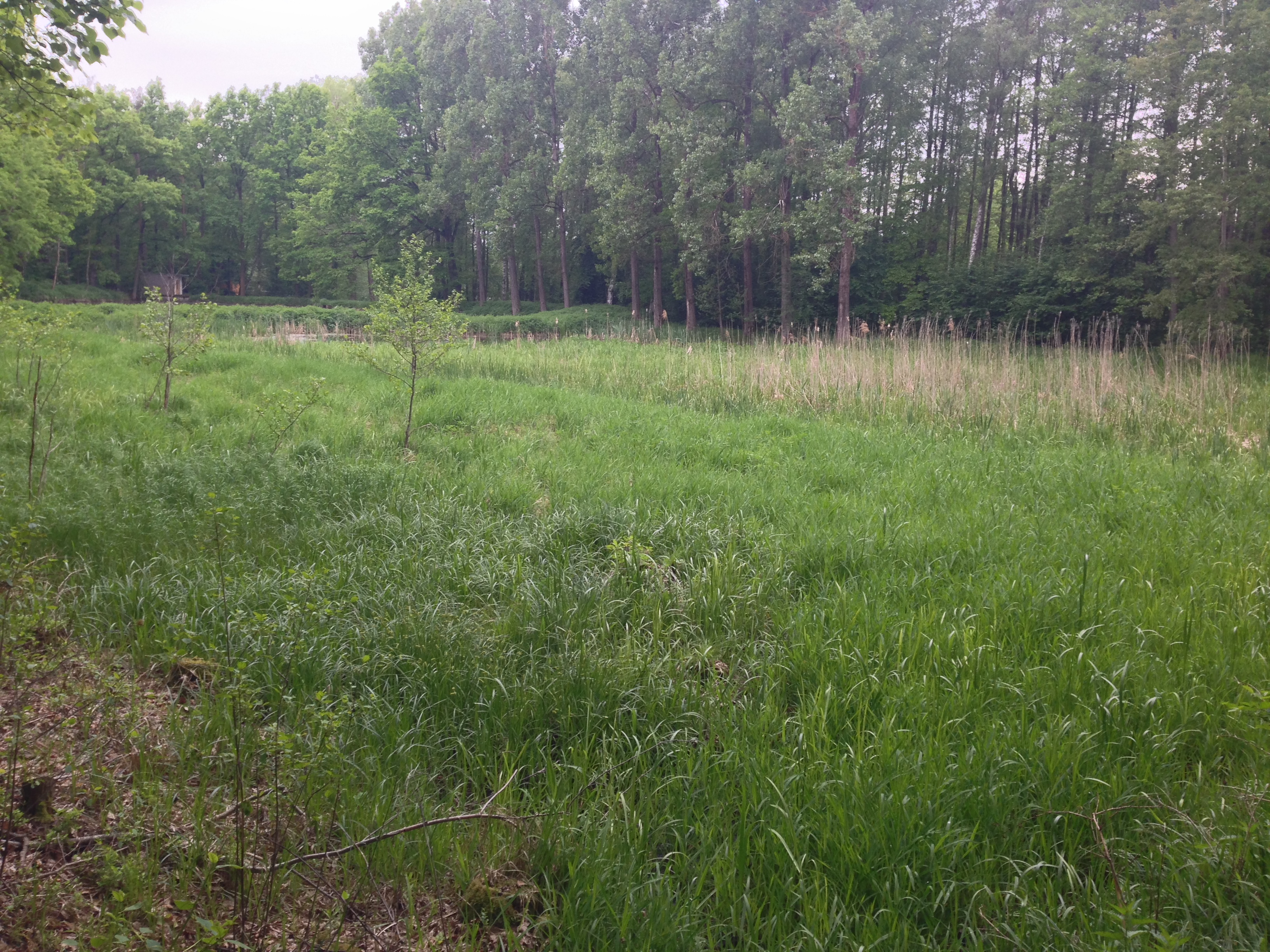 2015-05-23 10.58.35.jpg