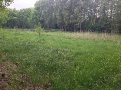 2015-05-23 10.58.35.jpg