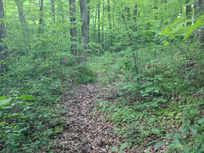 2015-05-23 11.01.59.jpg