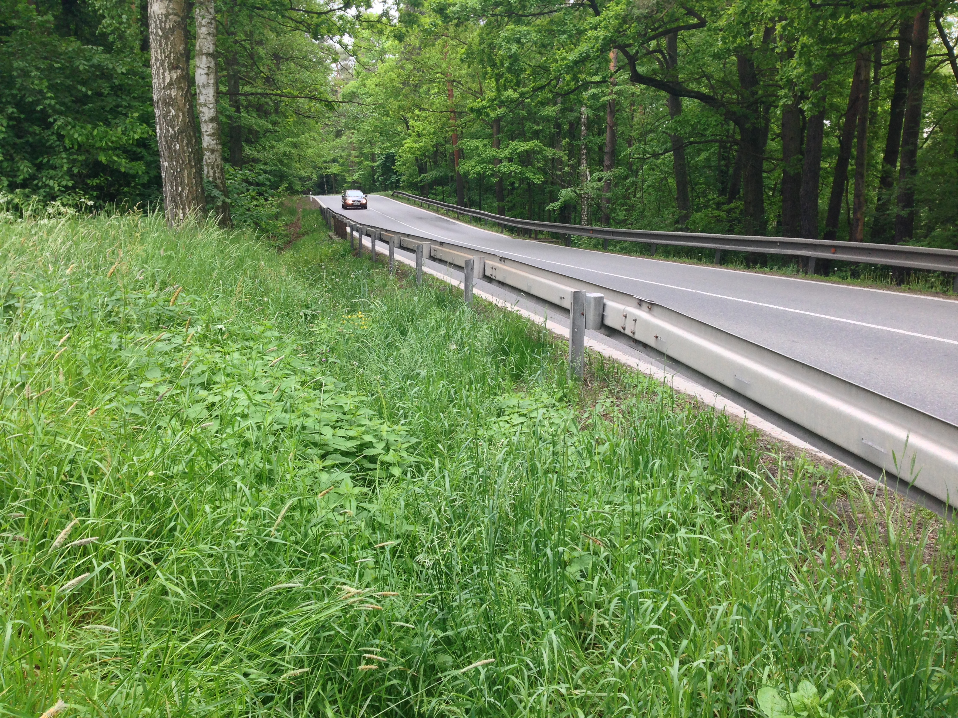 2015-05-23 11.04.22.jpg